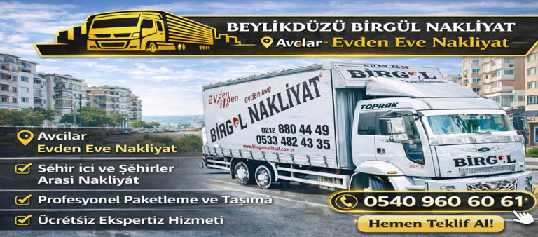 Avcılar Evden Eve Nakliyat