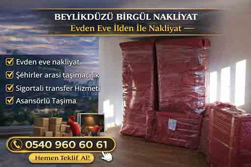 Beylikdüzü Birgül Nakliyat
